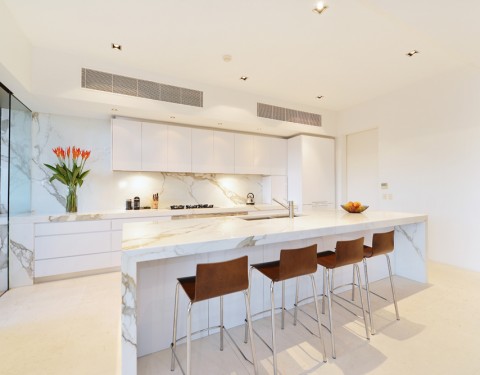 61 Murphy Street Image Gallery